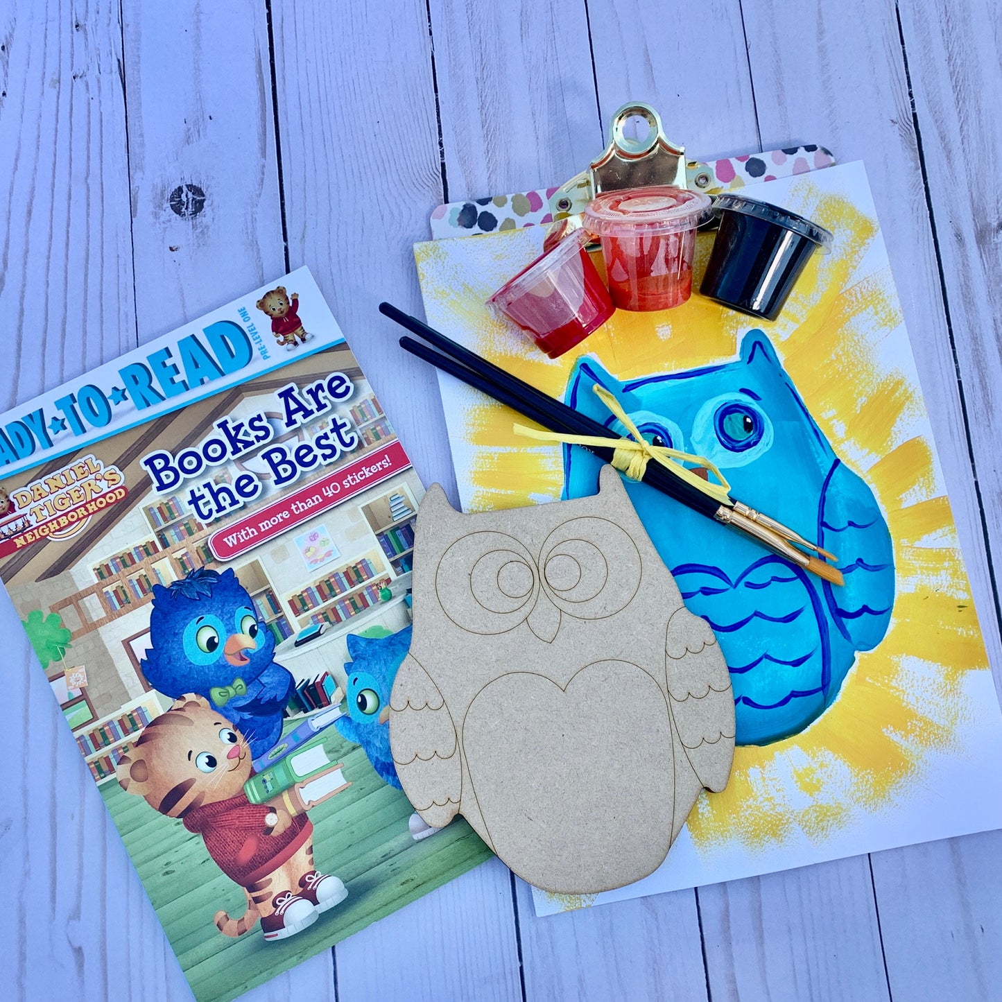 Owl Art Kits for Kids with Reading Book